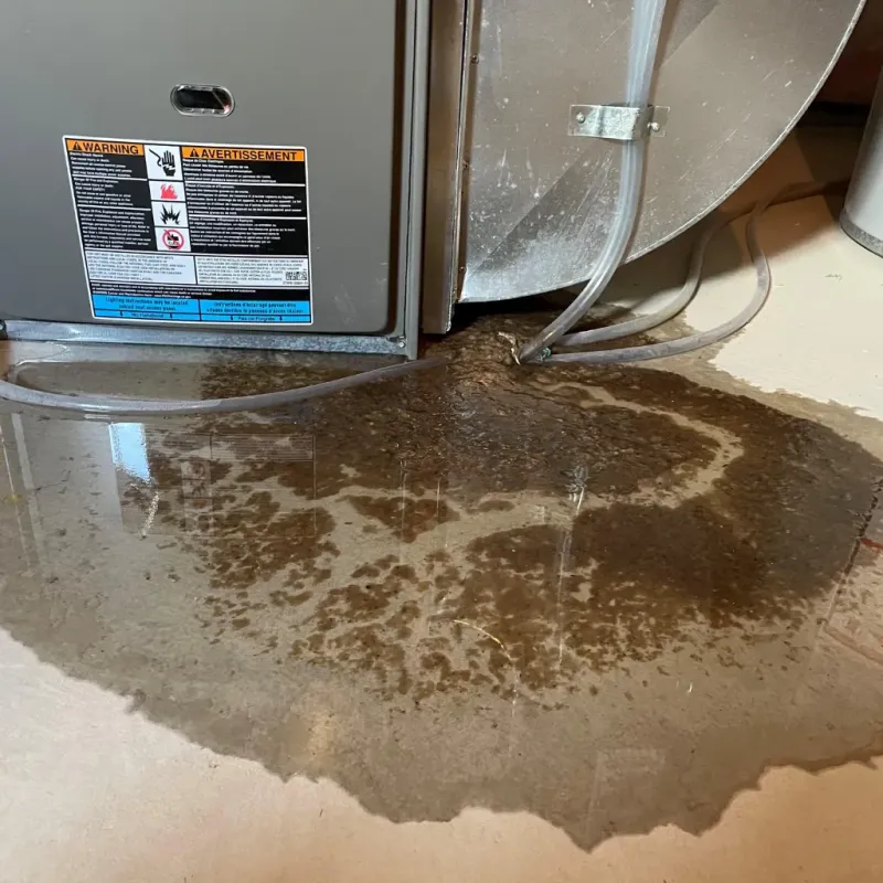 Appliance Leak Cleanup in Carterville, MO