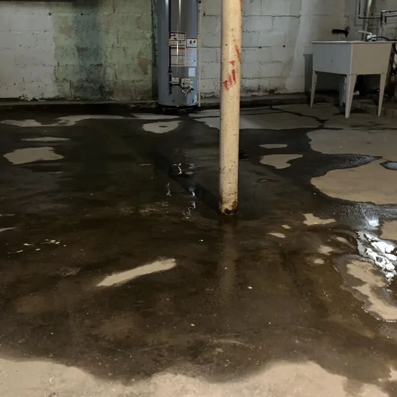 Emergency Water Extraction And Removal in Carterville, MO